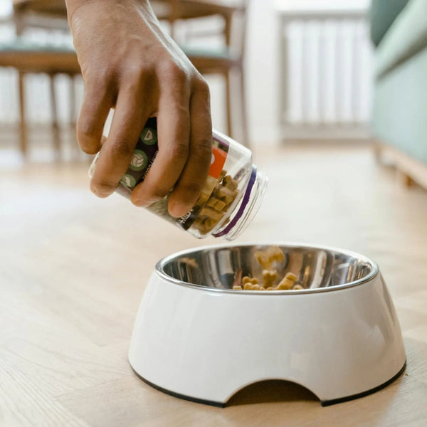 Pet Treats & Food