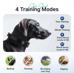 Dog Training Collar for up to 2 Dogs Remote Waterproof Rechargeable 1 Mile Range
