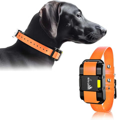 Dog Training Collar for up to 2 Dogs Remote Waterproof Rechargeable 1 Mile Range