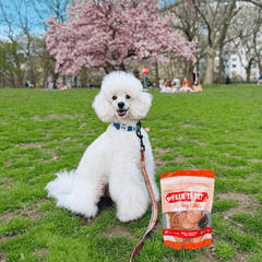 Turkey Chips for Dogs | All-Natural Single-Ingredient Healthy Dog Treats