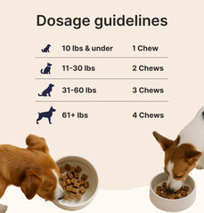 Dog Joint & Multivitamin Chews — Glucosamine, MSM + Daily Vitamins (90 Soft Chews)