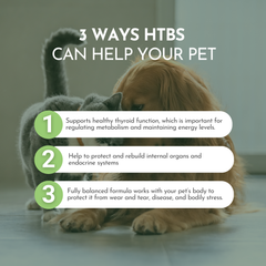Holistic Total Body Support – Multivitamin & Glandular Support for Dogs and Cats