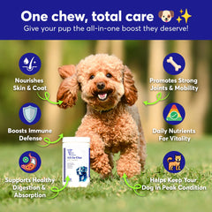 Dog Multivitamin Chews Immunity Digestive Skin Coat Joint Support Formula