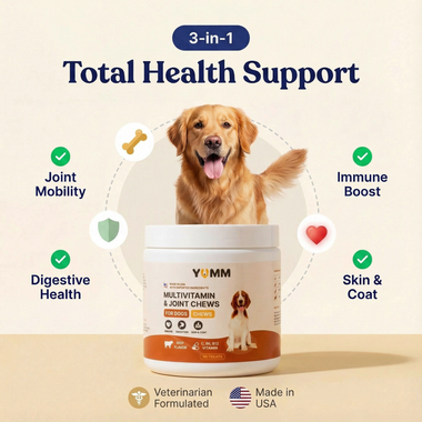 Dog Joint & Multivitamin Chews — Glucosamine, MSM + Daily Vitamins (90 Soft Chews)