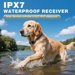 Waterproof Dog Shock Collar for up to 3 Dogs 3300FT AI Bark IPX7 Rechargeable