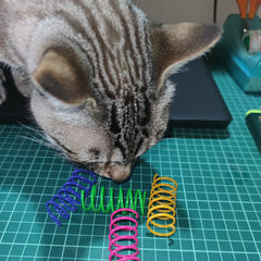 Colorful Cat Spring Toys Durable Coil Spiral Kitten Interactive Play