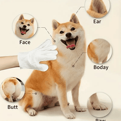 2-in-1 Pet Gloves – Gentle Massage + Odor Elimination in One!