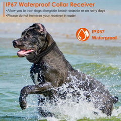 3280FT Waterproof Dog Training Collar Remote Beep Vibration Shock Features