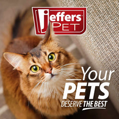 Jeffers BELLY BUDDY Probiotic Supplement Packets for Cats – Multi-Strain Digestive & Immune Support