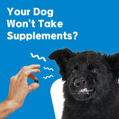 Dog Vitamins Multivitamin Eye Hip Joint Gut Dental Strips