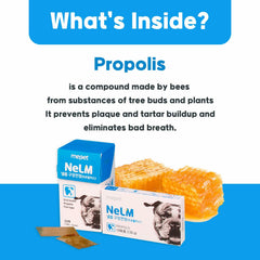 Dog Vitamins Multivitamin Eye Hip Joint Gut Dental Strips