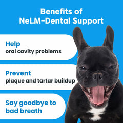 Dog Vitamins Multivitamin Eye Hip Joint Gut Dental Strips