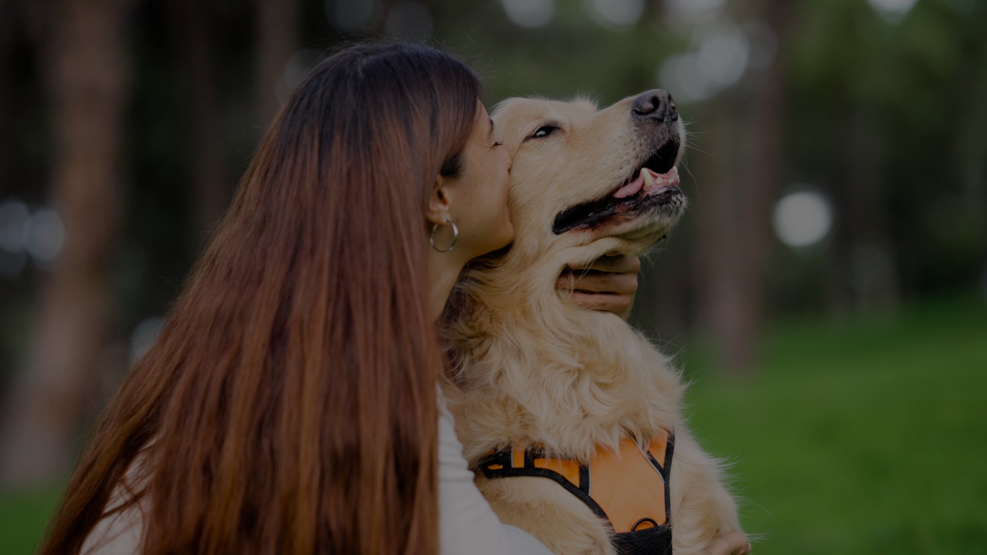 Woman holding a dog in a park with trees and grass in the background